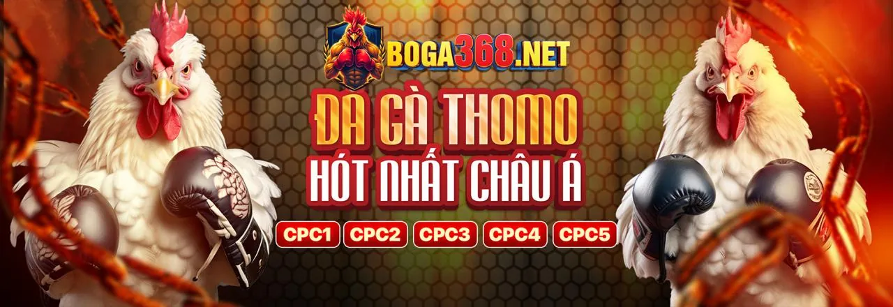 Màn hình hiển thị cá cược trực tiếp với tỷ lệ cược thay đổi