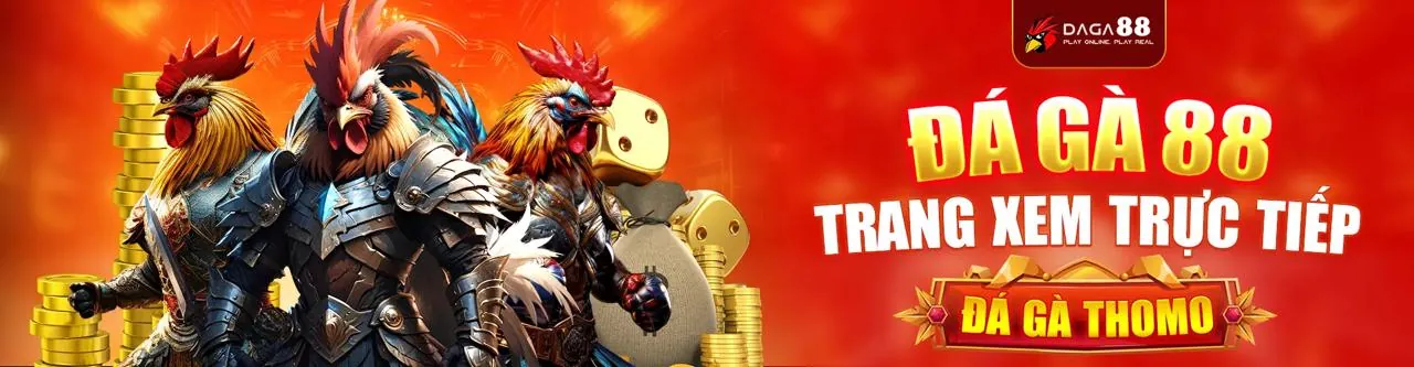 Đá Gà Trực Tuyến OK222